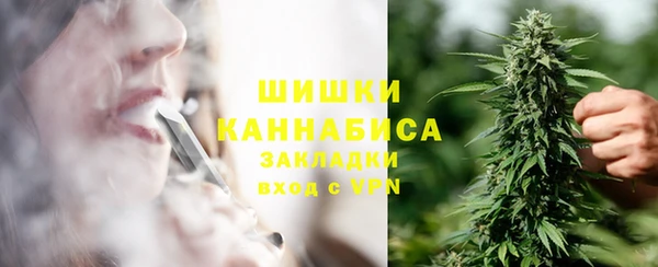 индика Богданович