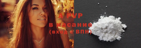 дживик Богородицк