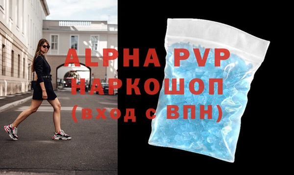 индика Богданович