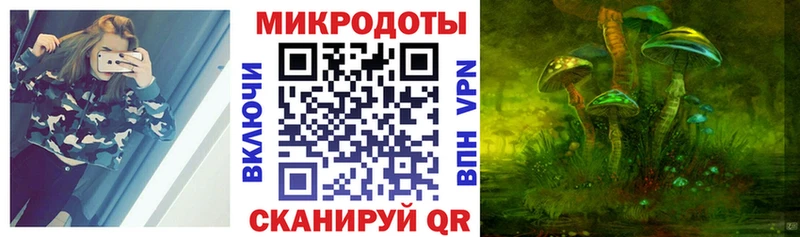 darknet клад  Буйнакск  Галлюциногенные грибы GOLDEN TEACHER 